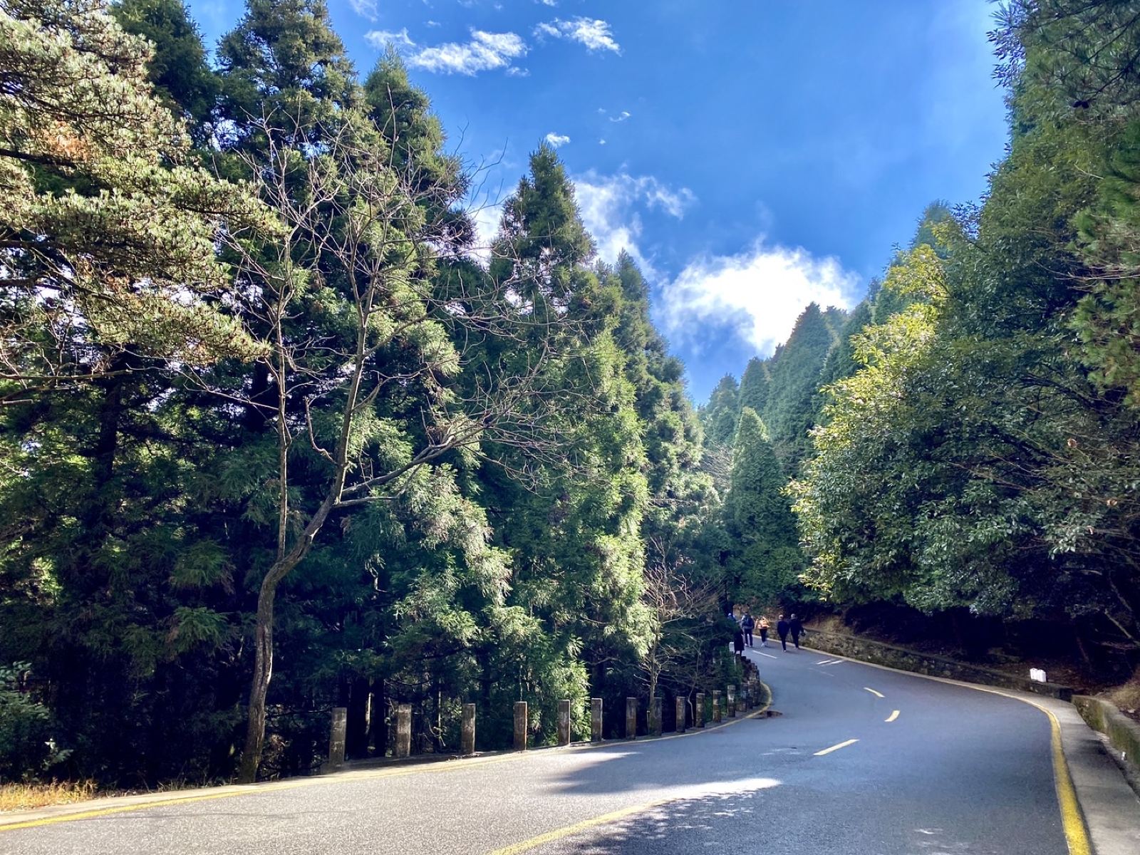庐山·自然与书院研学·武汉研学目的地实拍